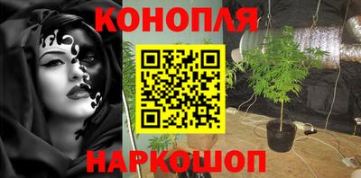 трава Бийск