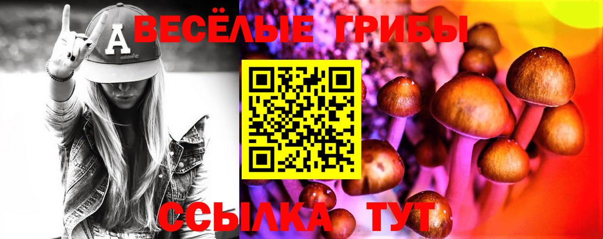 Псилоцибиновые грибы Psilocybe  Вход с VPN  Зеленогорск 